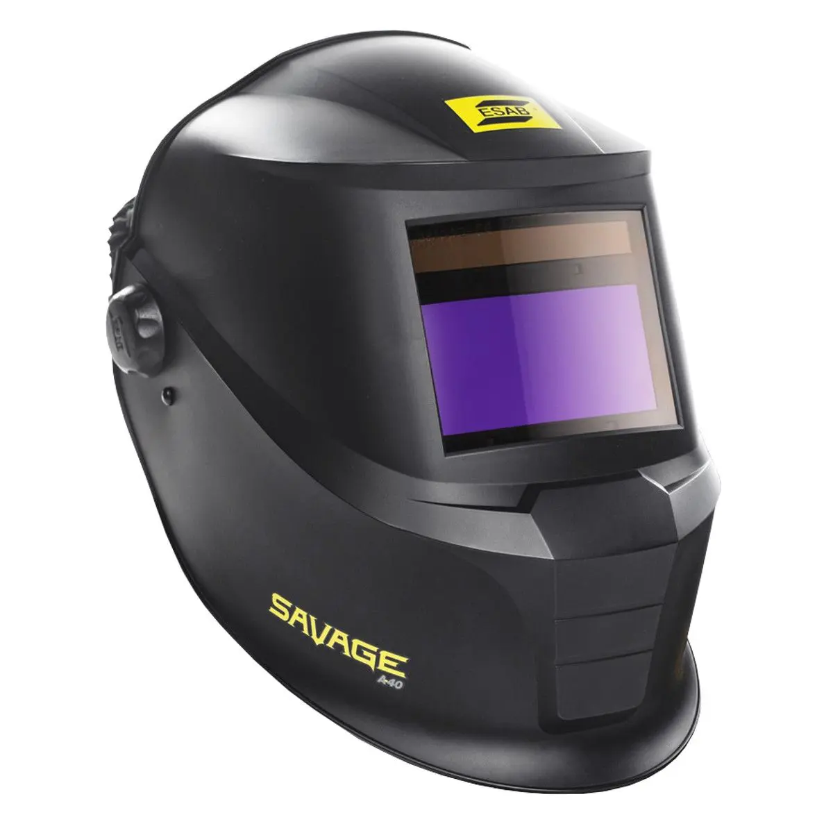 Welders mask, chameleon