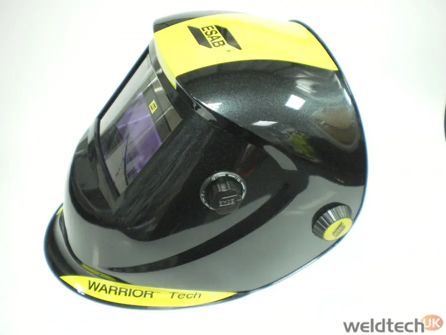 Welders mask, chameleon